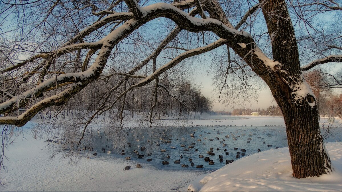 Зима на Белом озере. - Elena Ророva