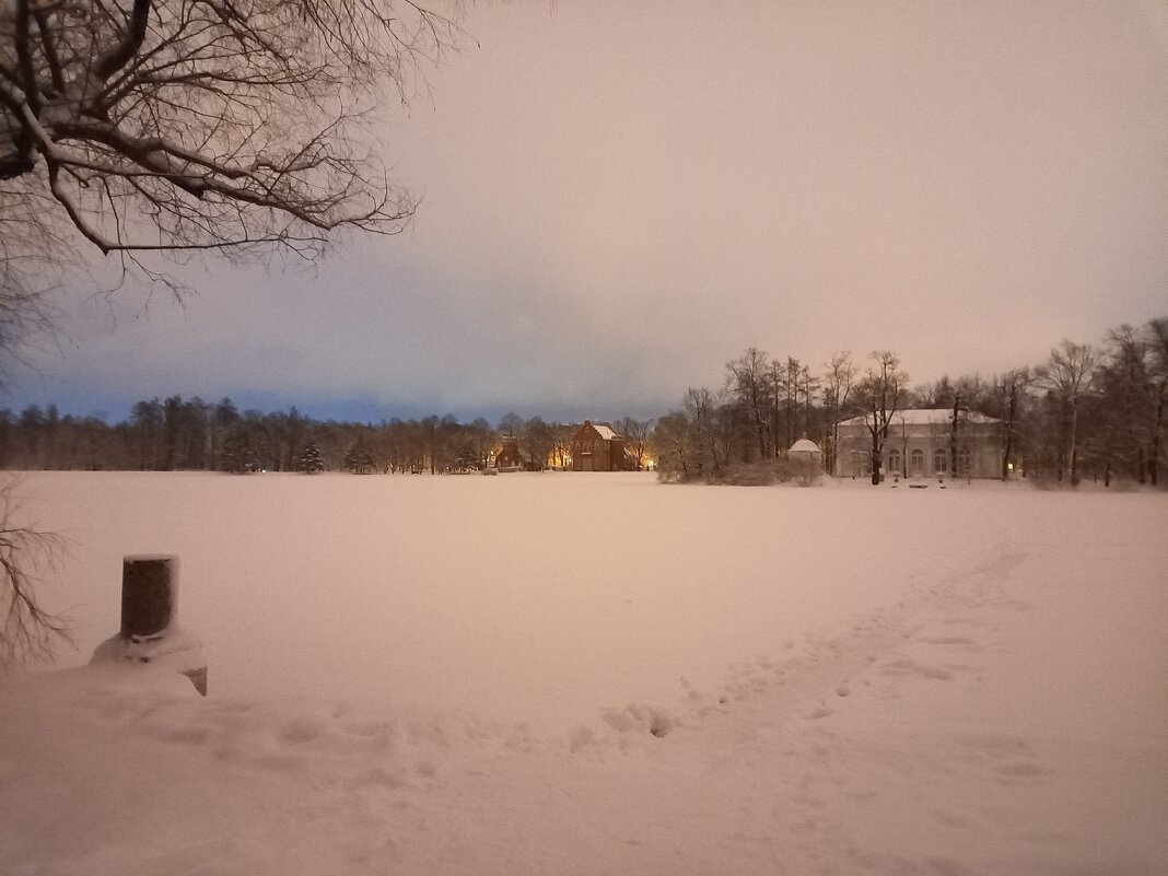 Снег - Сапсан 