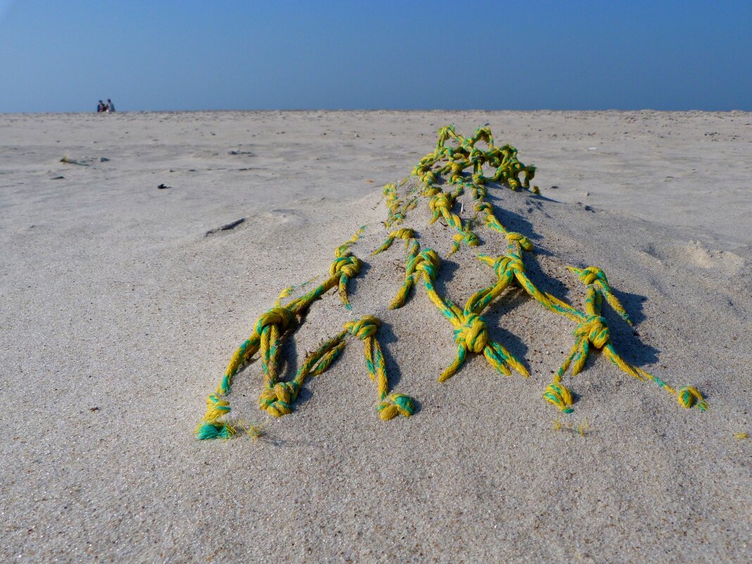 Найден на пляже - Heinz Thorns
