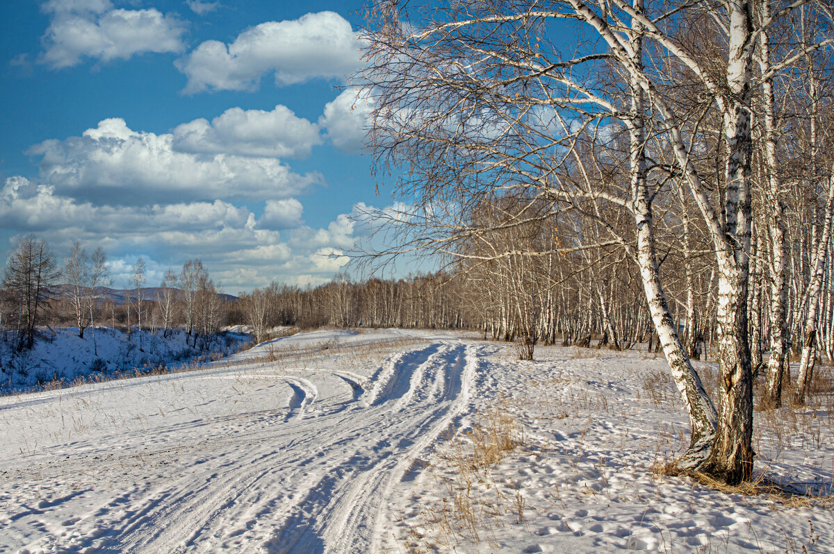Зимняя дорога - Алексей Мезенцев