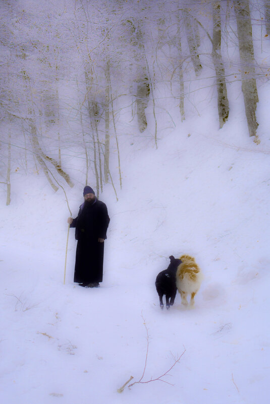 Монах с собаками - Nina Streapan