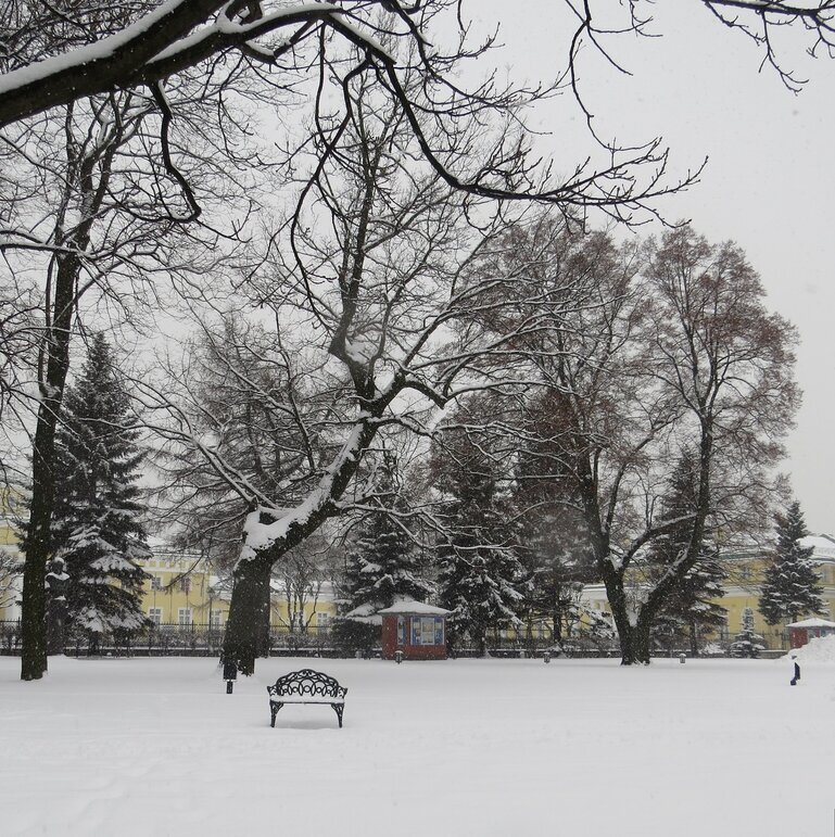 В парке - Вера Щукина