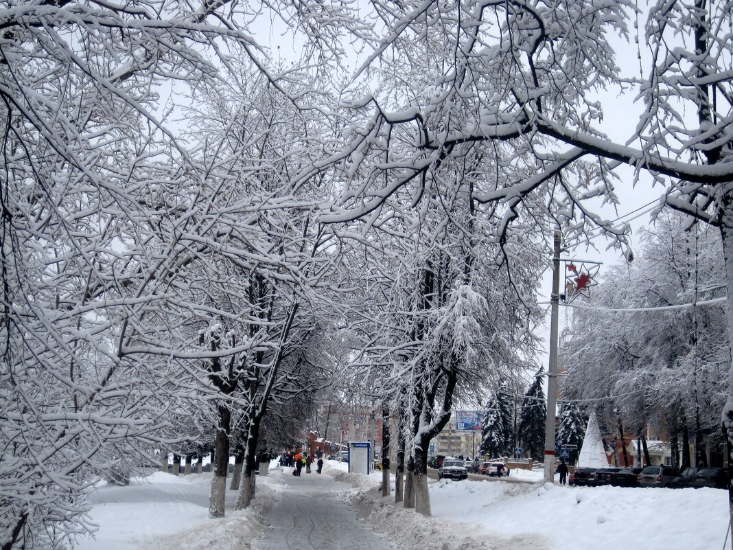 Снежной зимой в городе - Елена Семигина