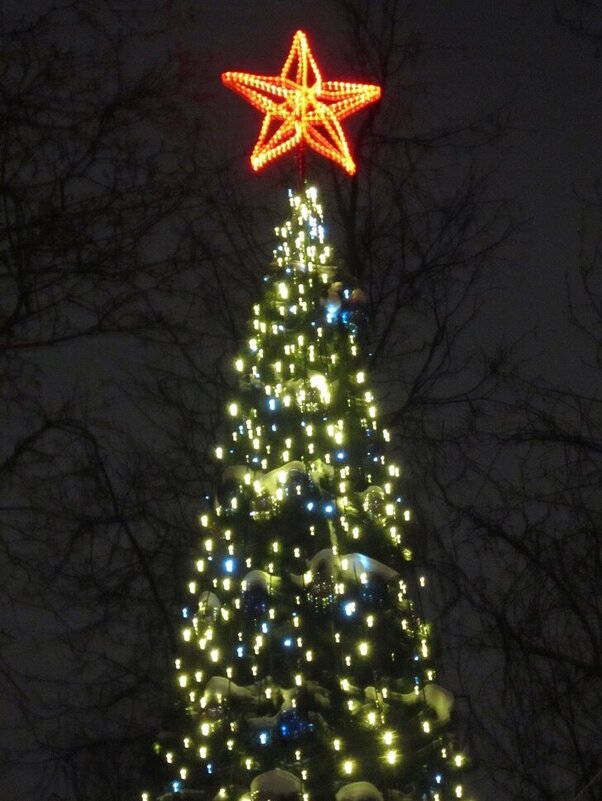 На окраине Москвы ёлка светит нам в ночи - Дмитрий Никитин