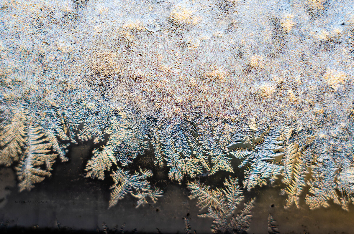 мороз на окне - Александр Леонов