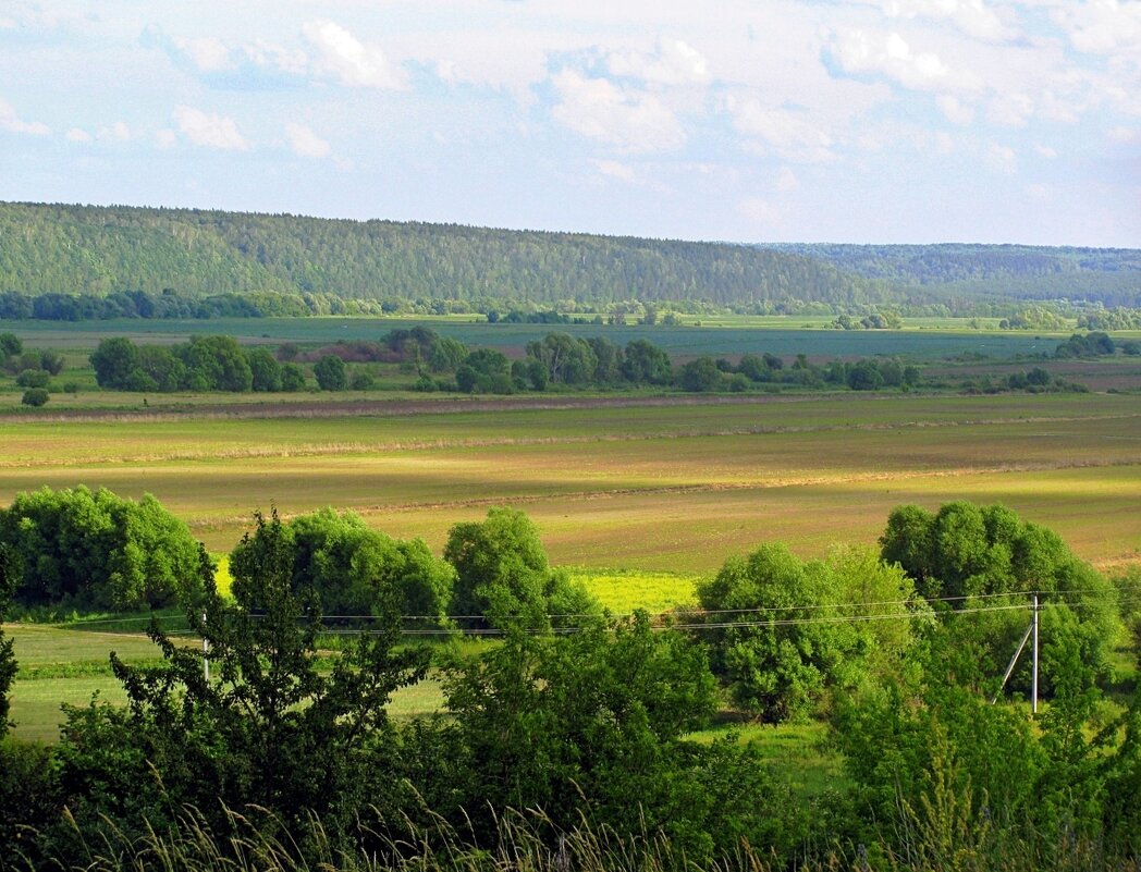 Поливное земледелие в долине Оки - Евгений Кочуров