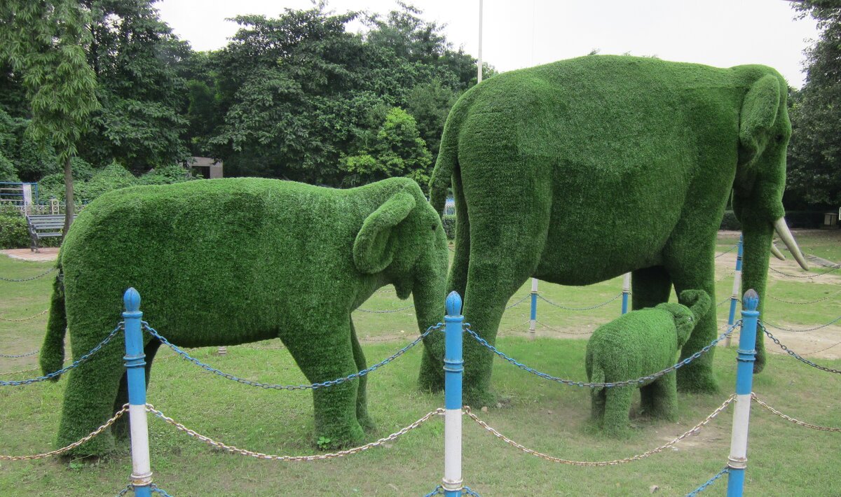 Зеленые слоны - Игорь Матвеев 