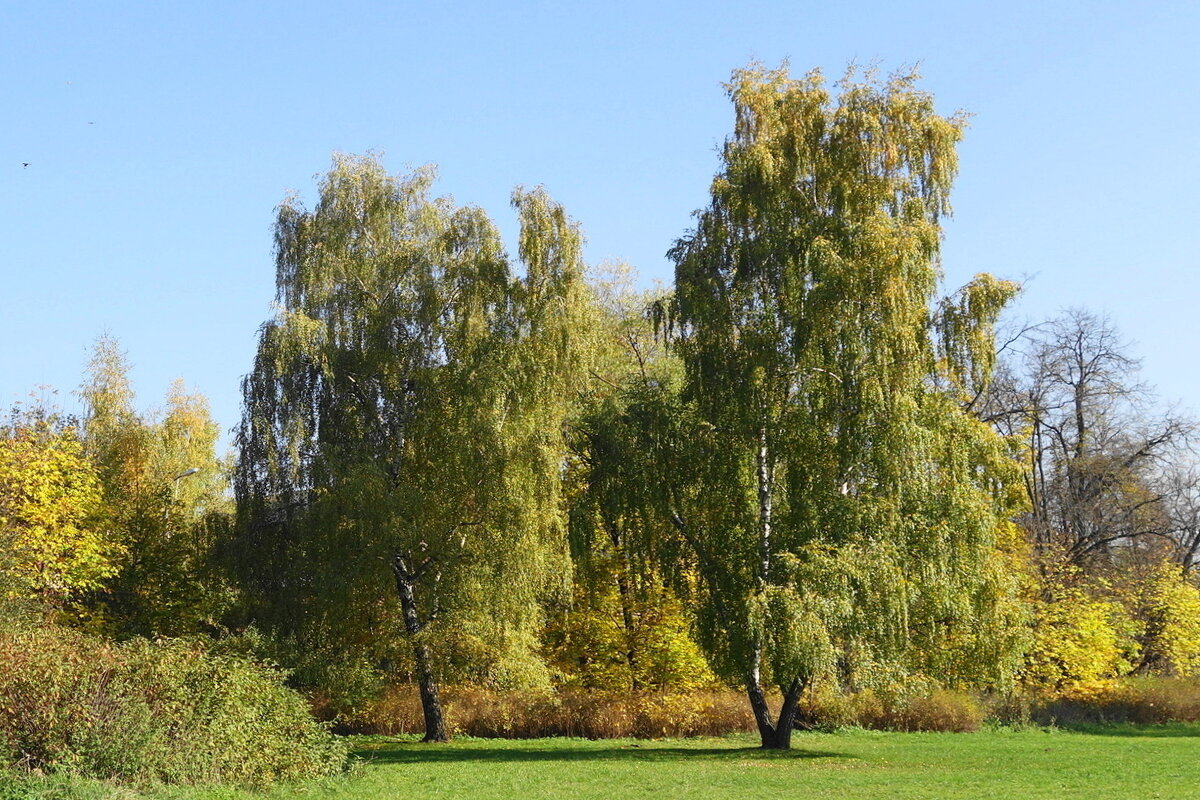 Парк Кузьминки - Маргарита Батырева