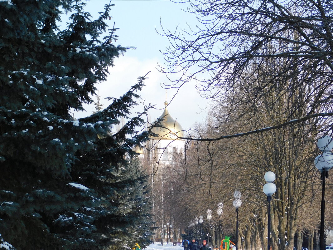 В городском парке - Юрий Шевляков