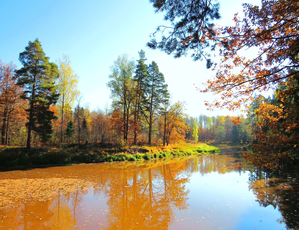Осенняя река - Андрей Снегерёв