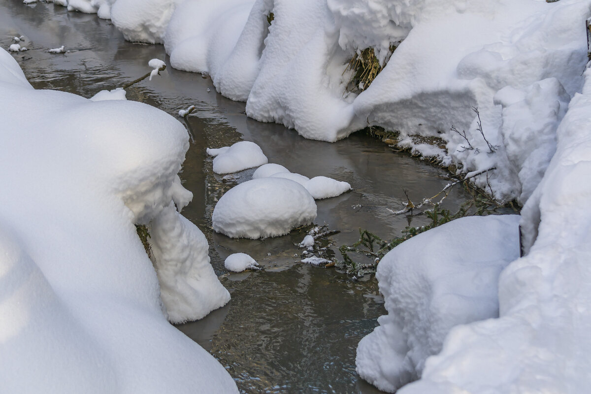 Лесной ручей зимой - Сергей Цветков