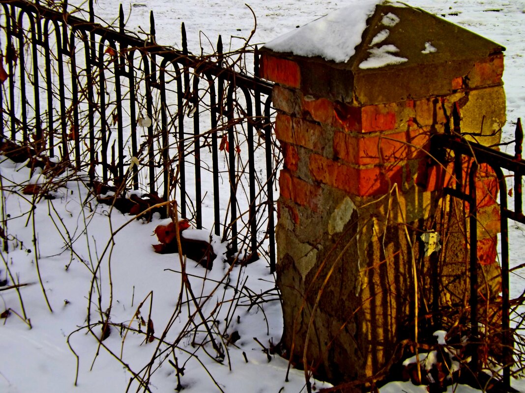 Ограда во снегу... - Евгений 