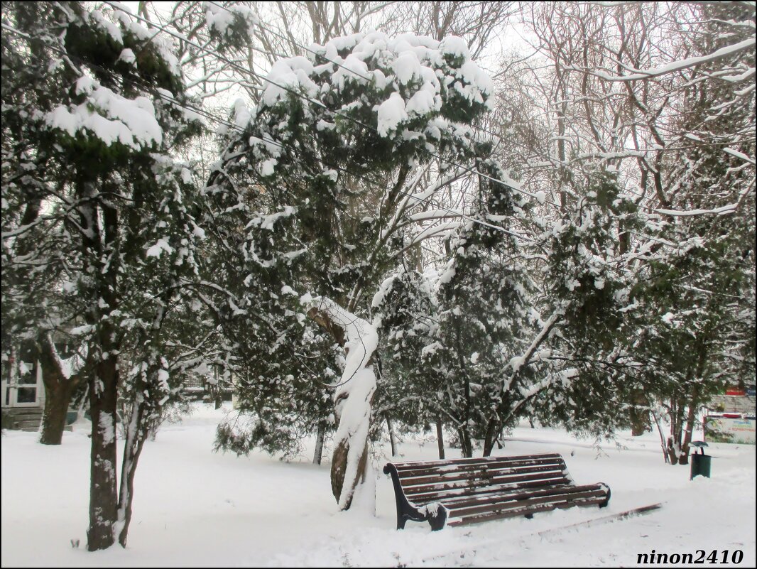 Зима в ростовском зоопарке - Нина Бутко