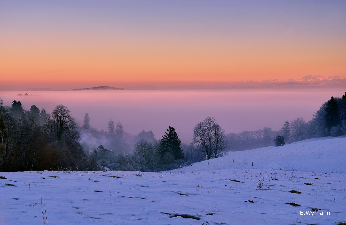 winter evening - Elena Wymann