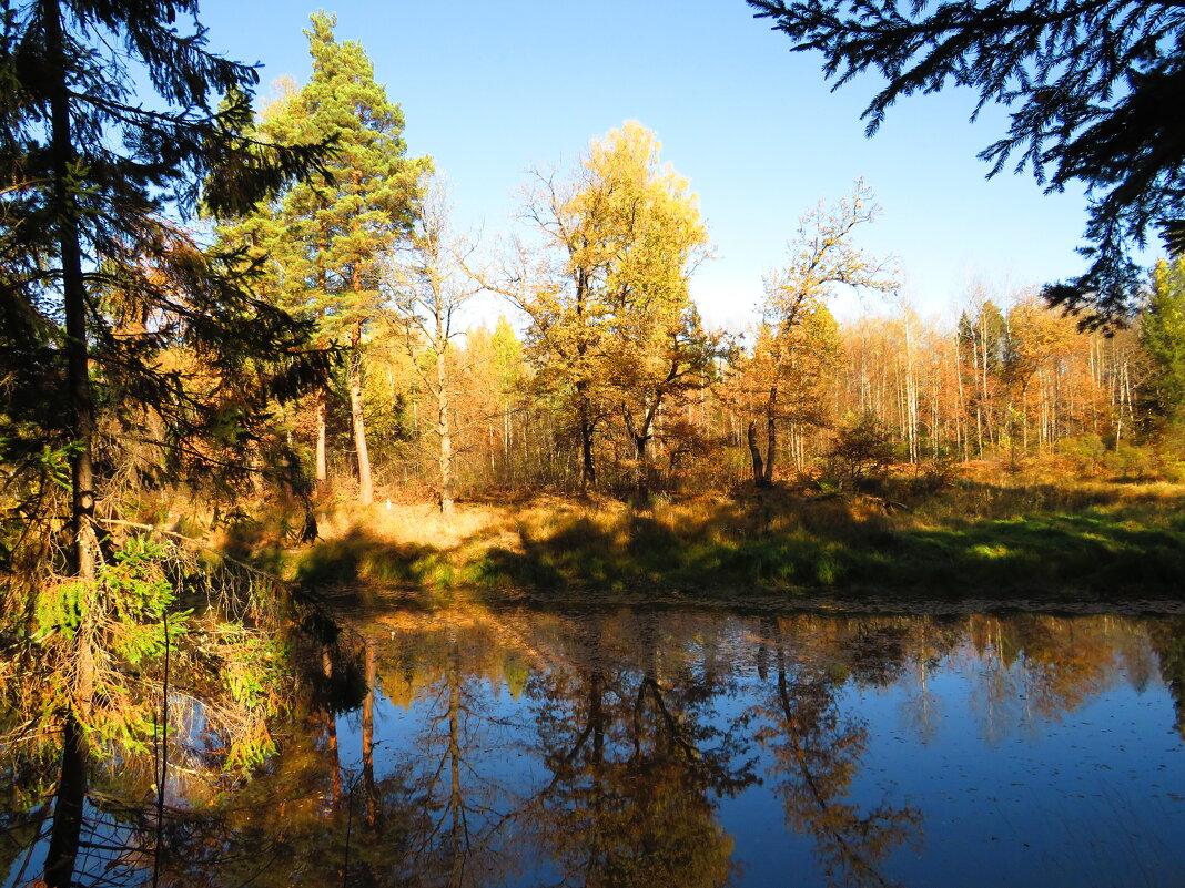 Река осенью - Андрей Снегерёв