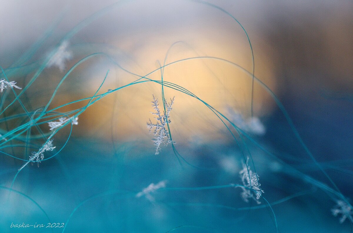 Зимний вальс снежинок белых - Ирина Баскакова