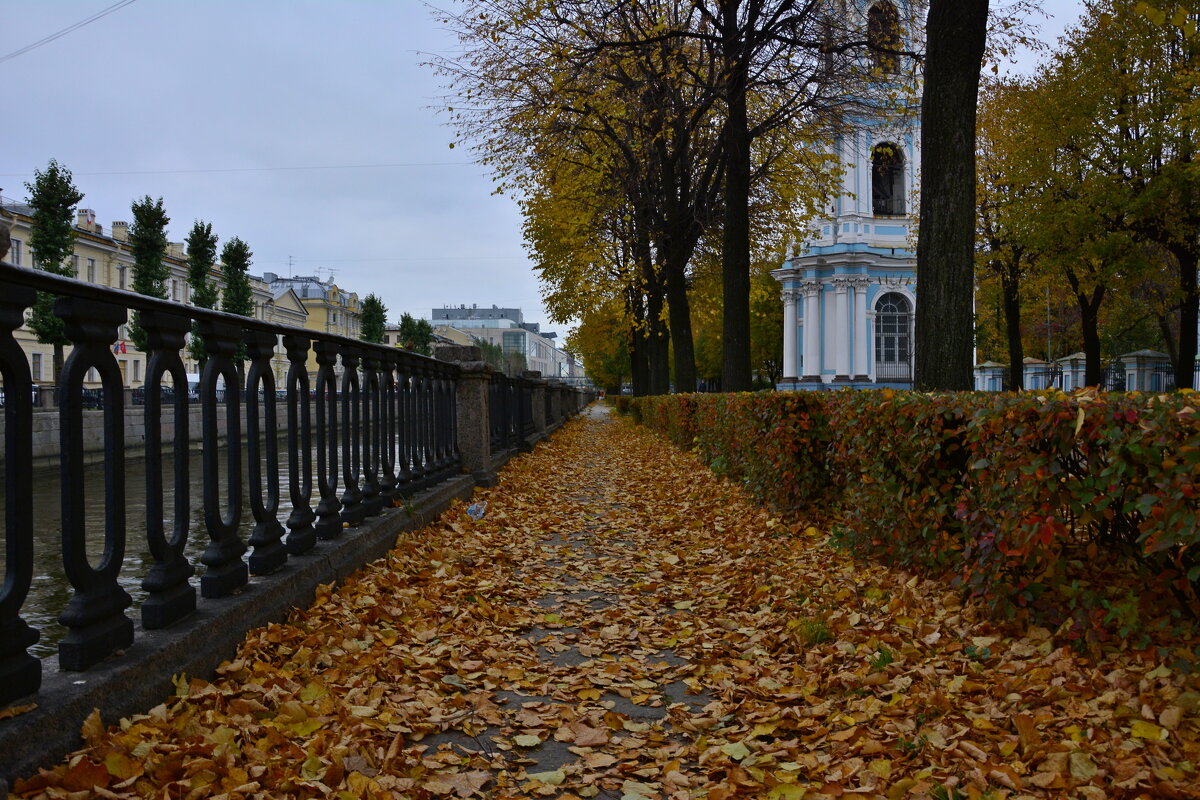 Осень в Петербурге... - Витас Бонифаций Бенета