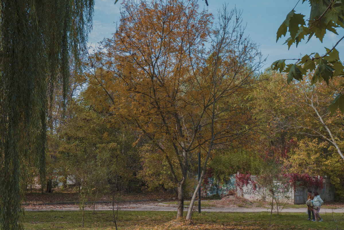 Осень  в Гагаринском  парке - Валентин Семчишин