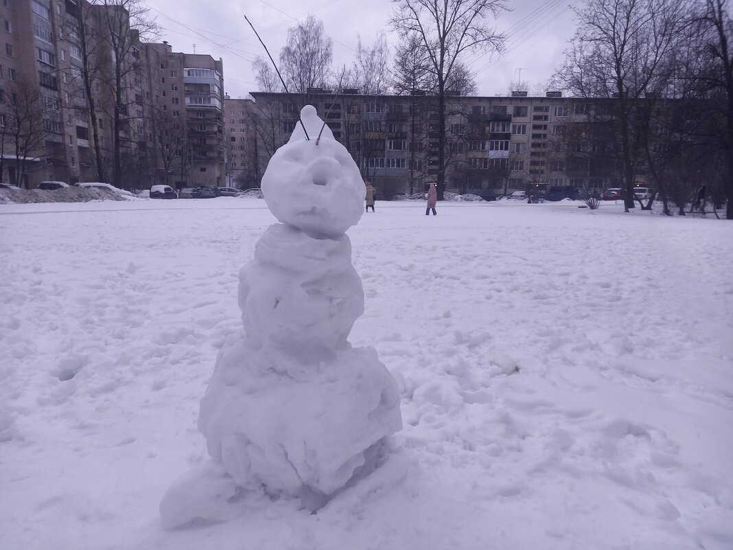 Снеговик - Сапсан 