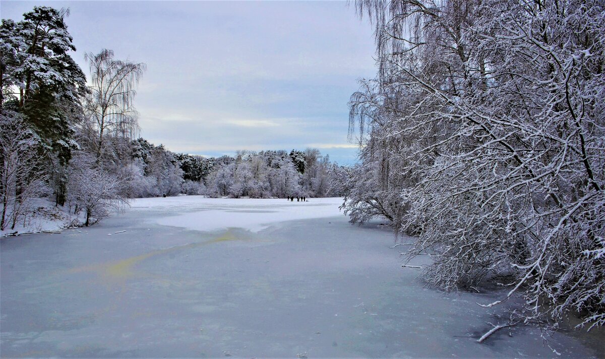 Чарующая красота природы зимней... - Ольга Русанова (olg-rusanowa2010)