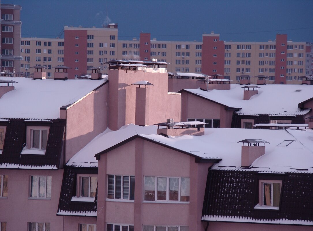Зима на крыше... - Syntaxist (Светлана)