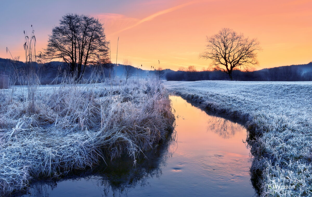 winter morning - Elena Wymann