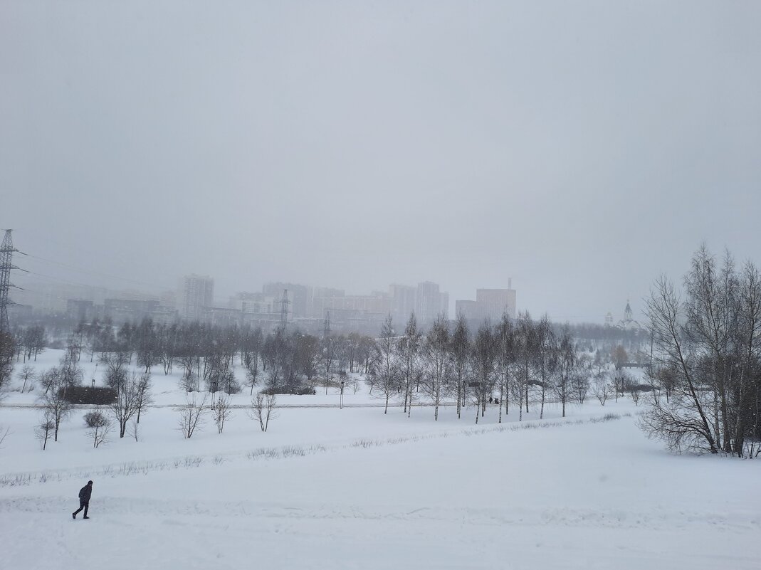 Москва, Митино, парк зимой - Людмила Монахова