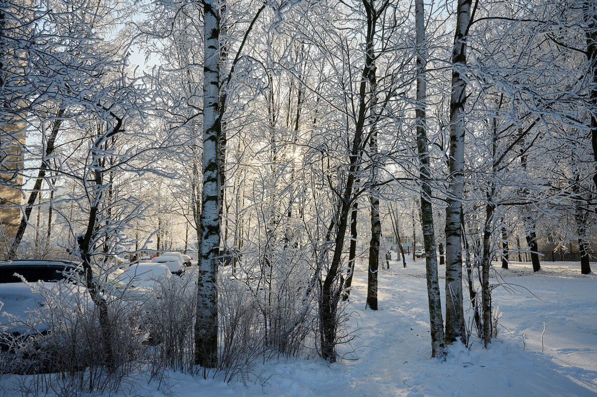 Зима в Питере2 - Юрий Бутусов
