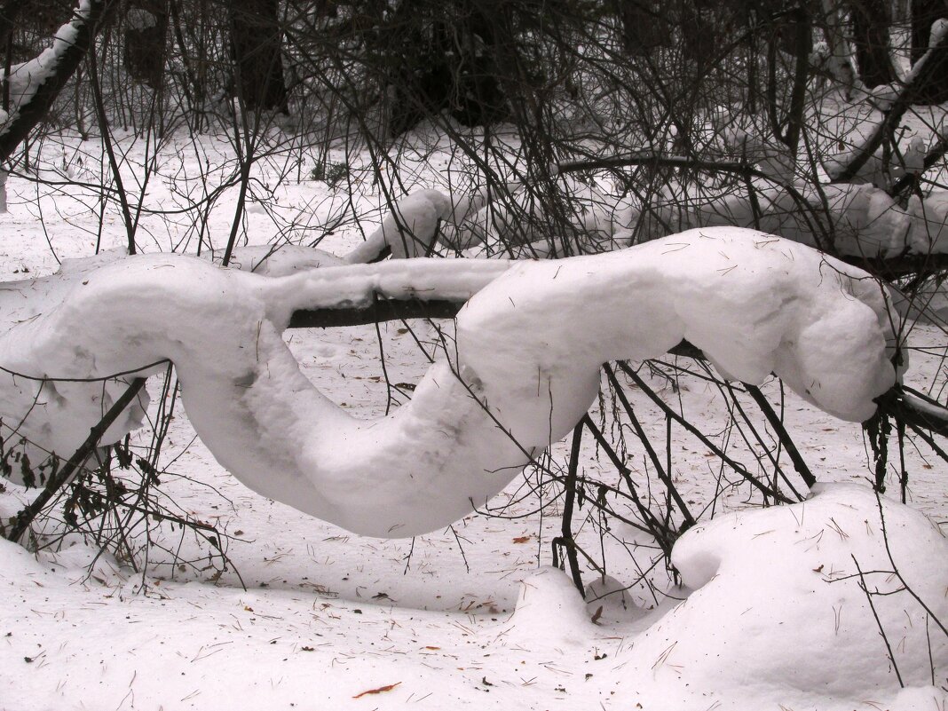 Снежный змей - Galaelina ***