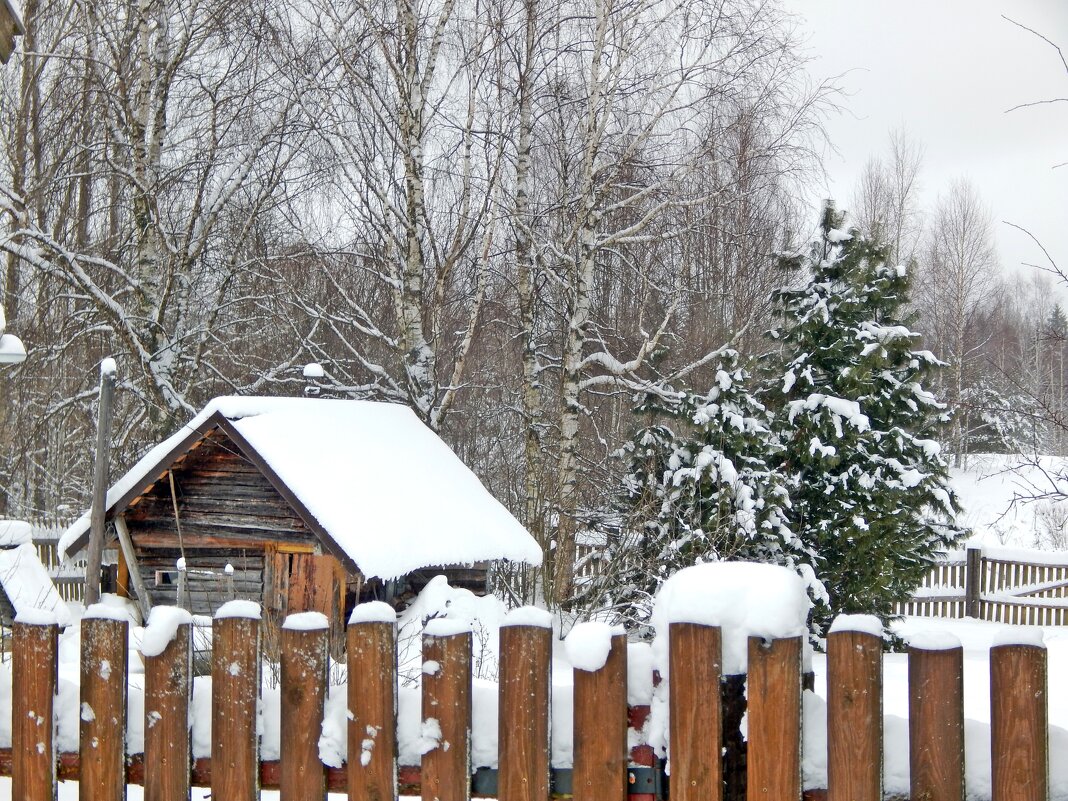 Зима в деревне - Юрий Пучков