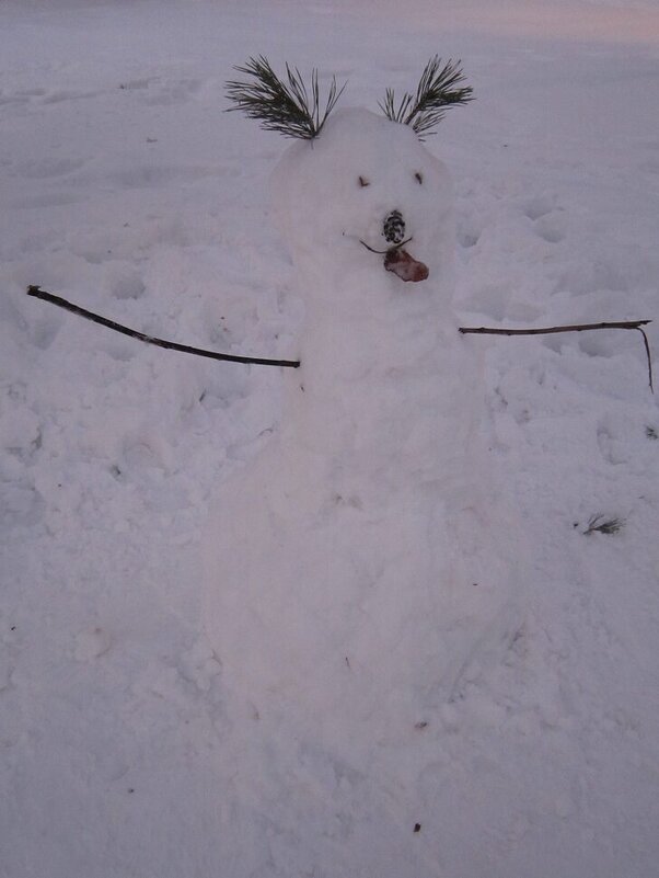 Необычный снеговик - Дмитрий Никитин