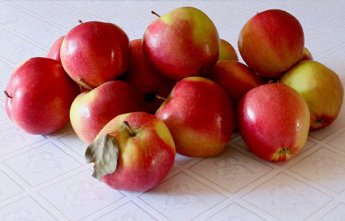 Яблоки на столе - Надежд@ Шавенкова