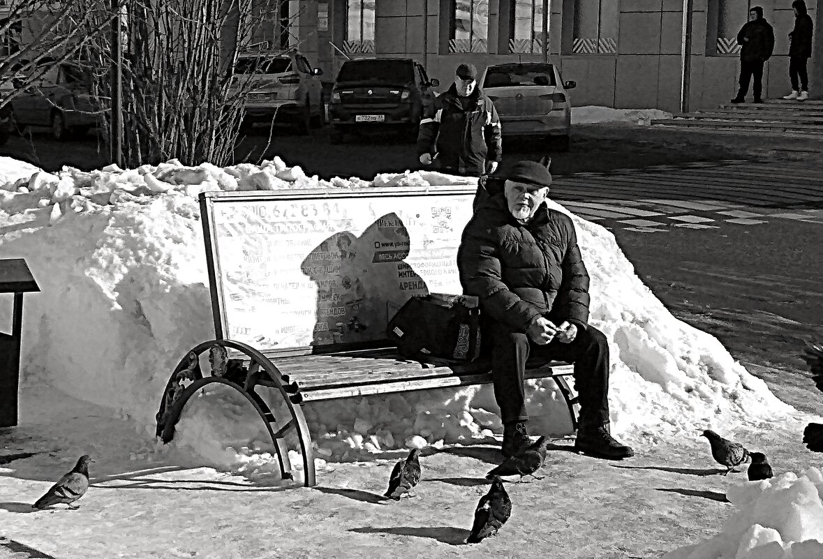 где человек, там и голуби - Любовь 