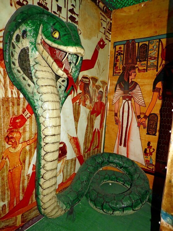 Змей - Вера Щукина