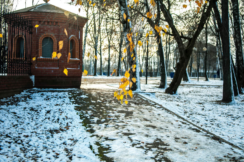 Первый снежок. - Анатолий Нецепляев