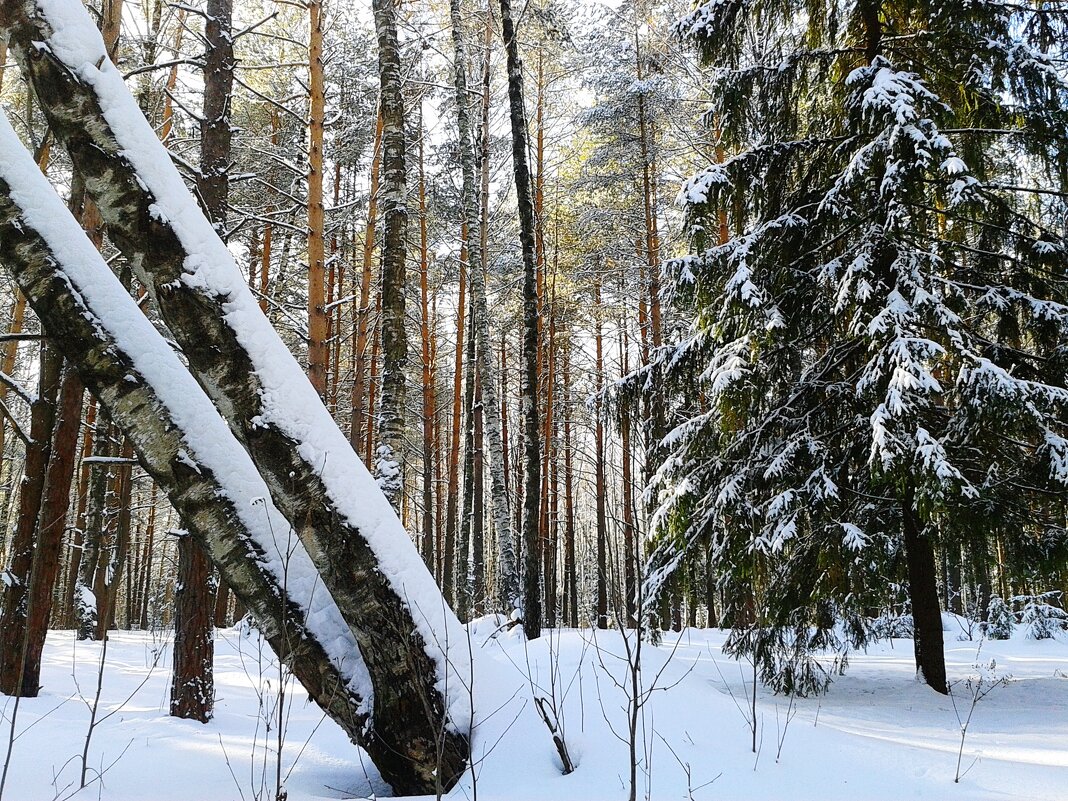 зимний пейзаж - Владимир 