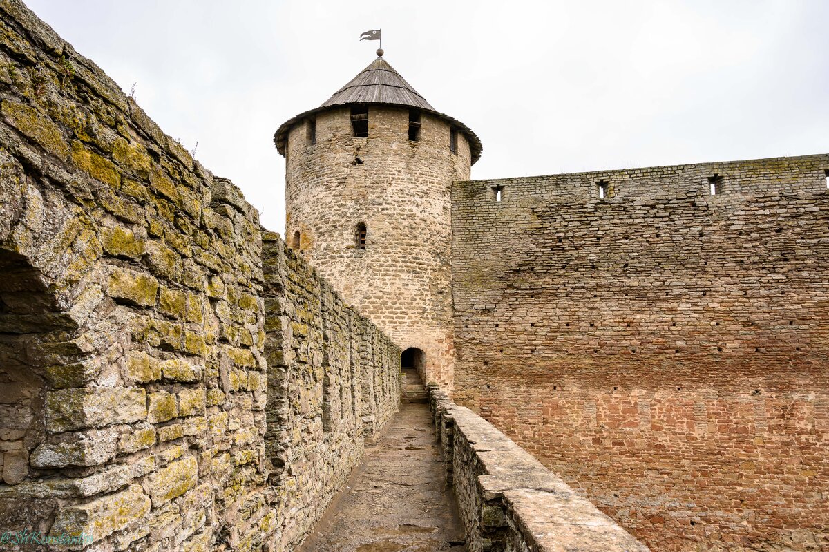 Ивангородская крепость - Константин Шабалин