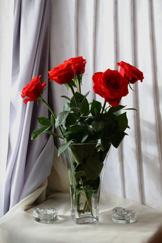 Яркие розы в февральский день - Надежд@ Шавенкова