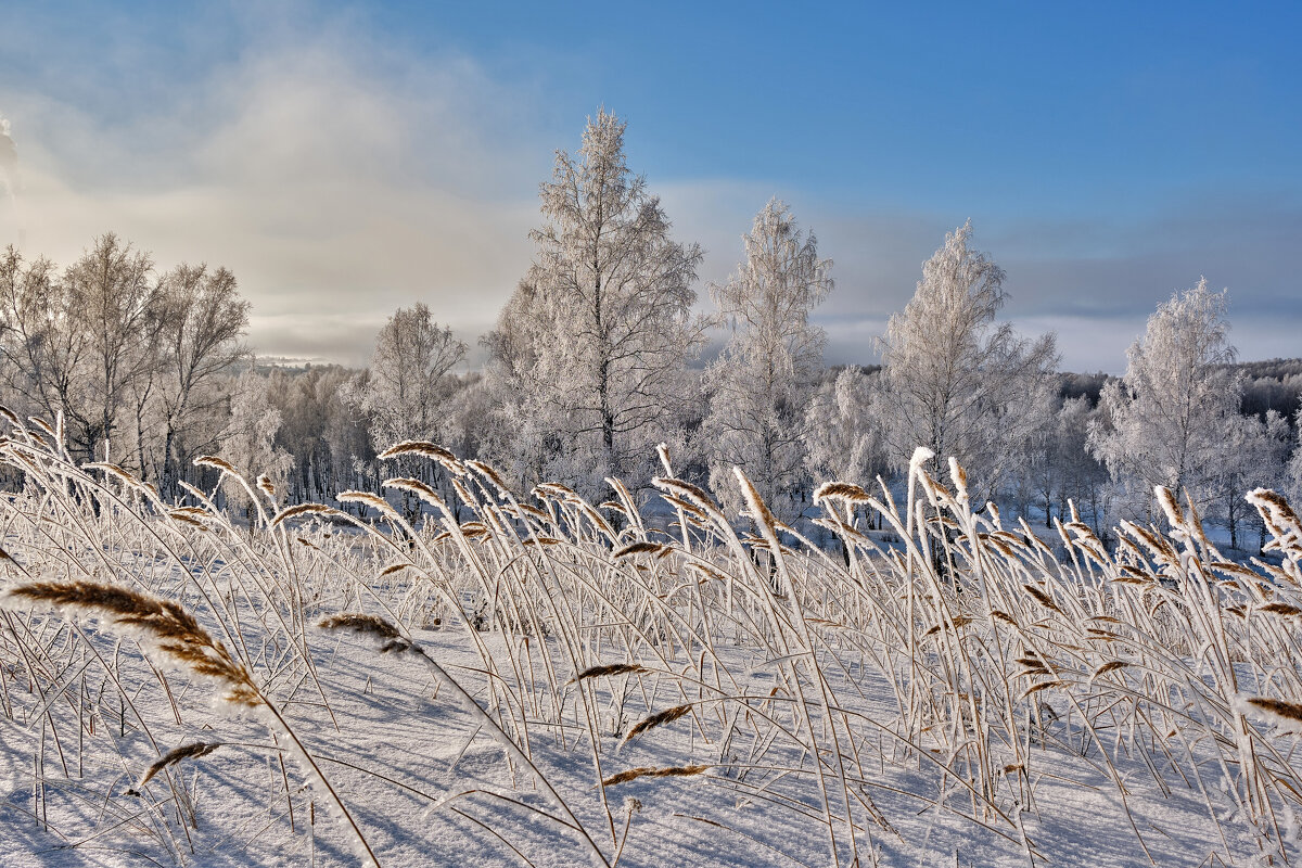 Утренний пейзаж уходящей зимы - Алексей Мезенцев