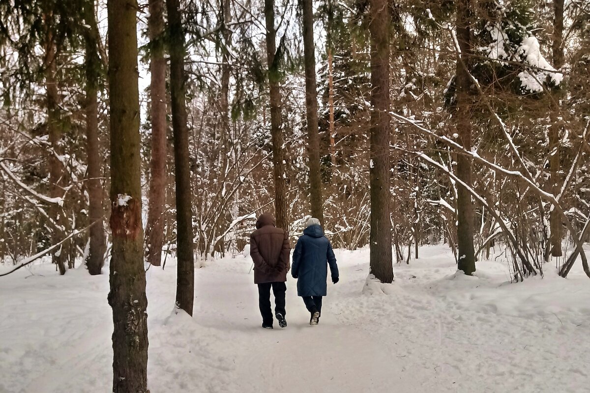 Зимние прогулки на пенсии - Елена (ЛенаРа)