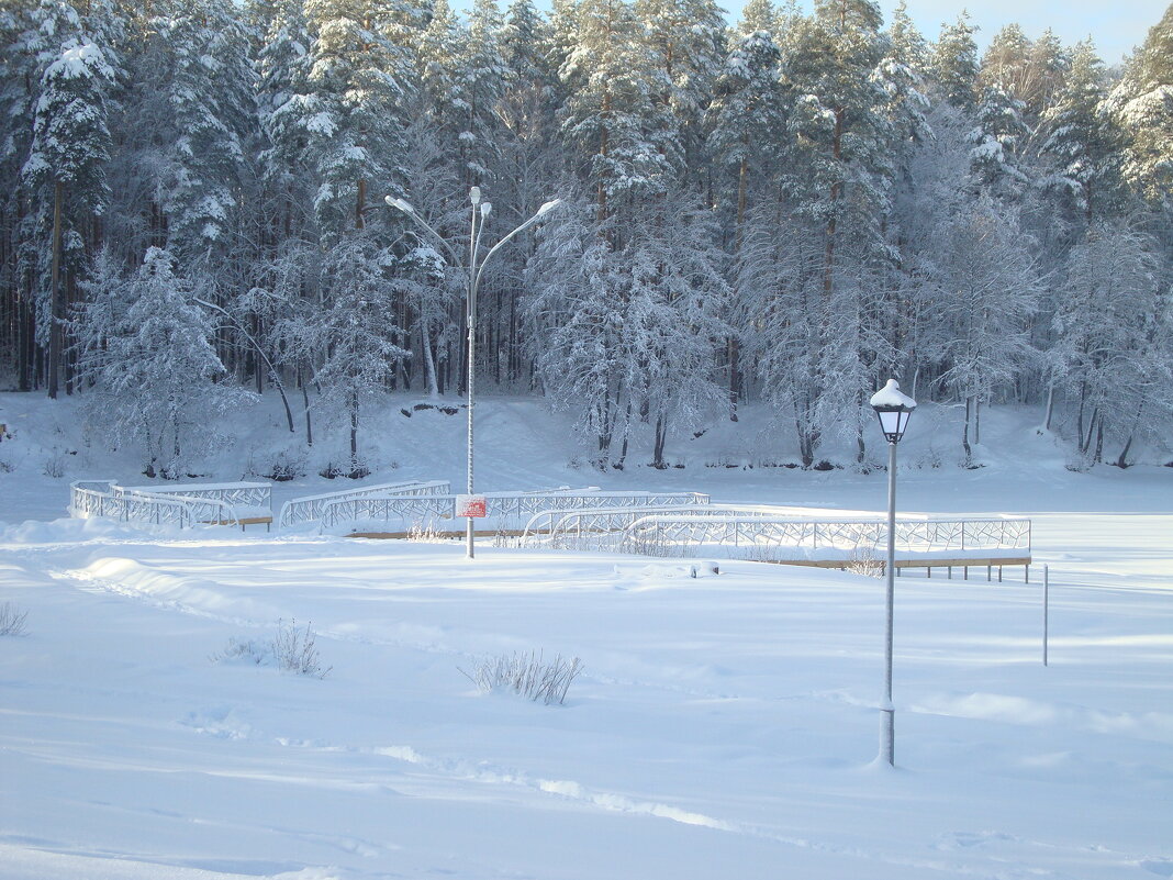 Снежная зима в городе - Лидия (naum.lidiya)