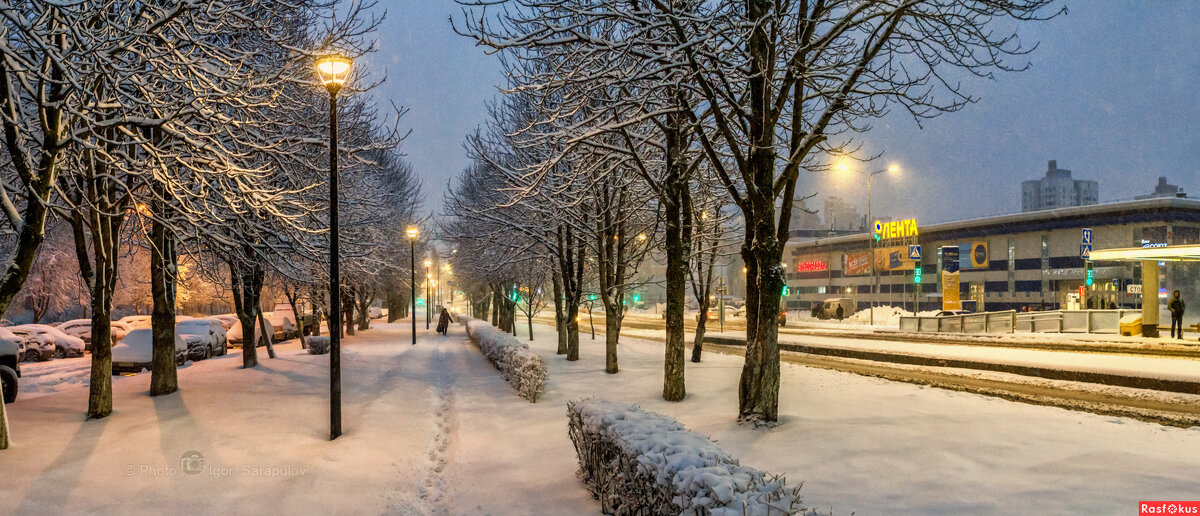 Утренний снегопад в Белгороде - Игорь Сарапулов
