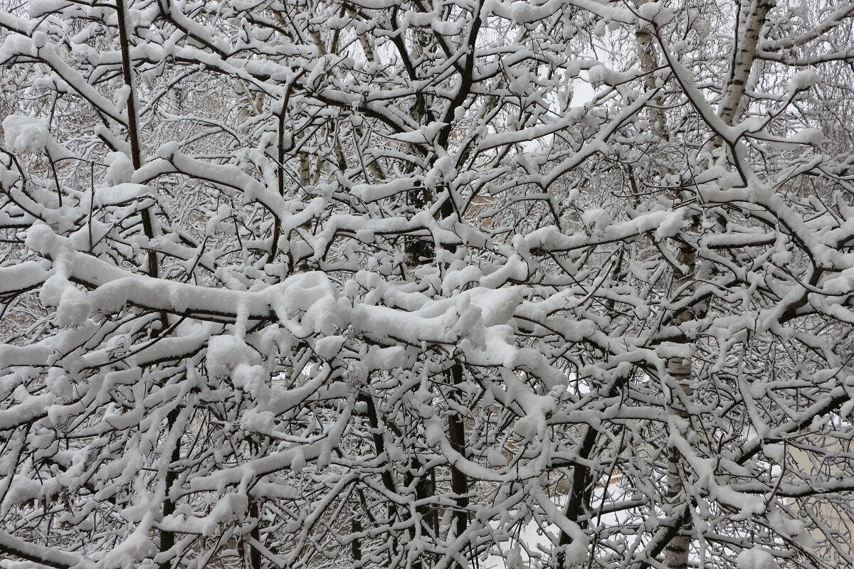Снежный март за окном - Надежд@ Шавенкова