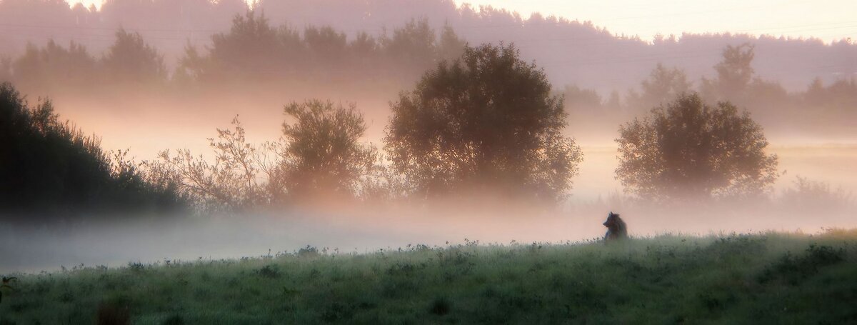 В тумане утреннем...... - Юрий Цыплятников