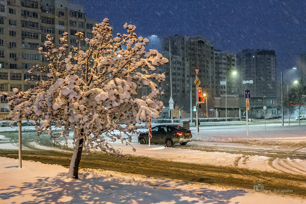 Ночной снегопад - Игорь Сарапулов