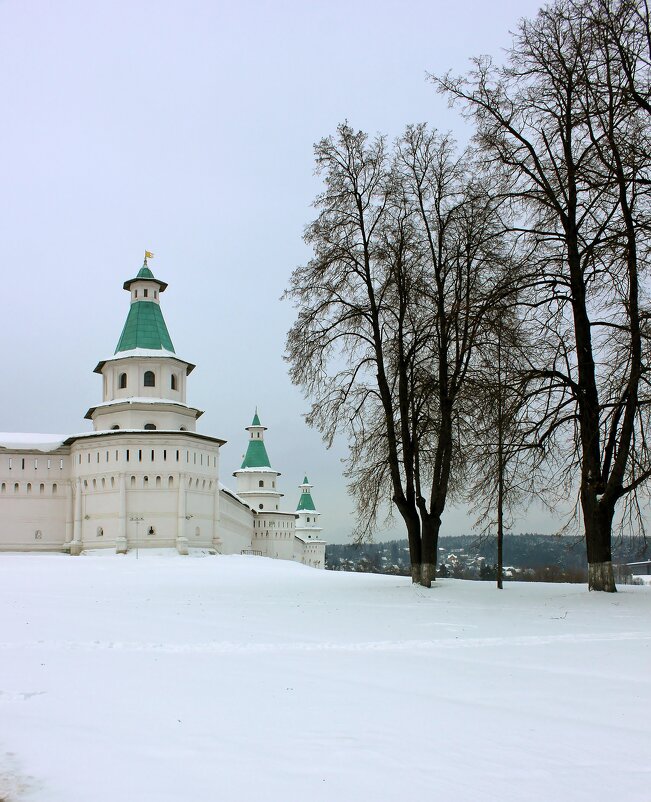 Новоиерусалимский монастырь - Владимир Соколов (svladmir)