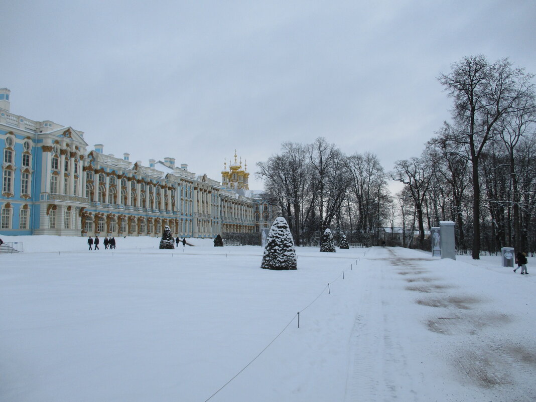 Екатерининский дворец зимой. - Татьяна Ф *
