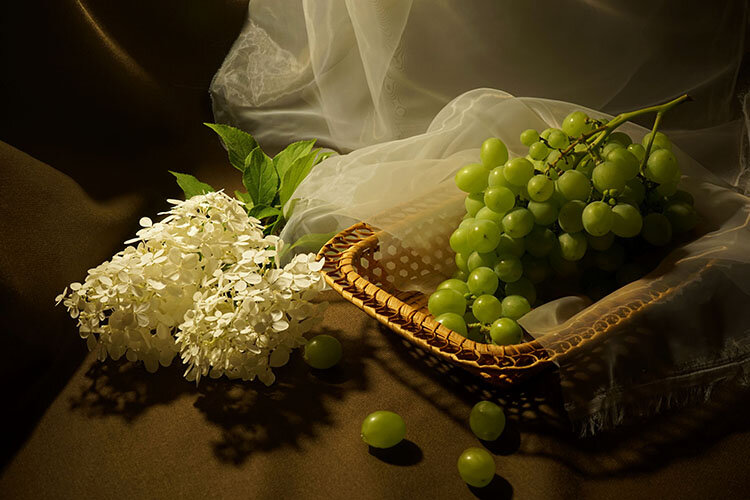 Гроздь спелого винограда в плетёной корзине и белая гортензия. - Tatiana Glazkova