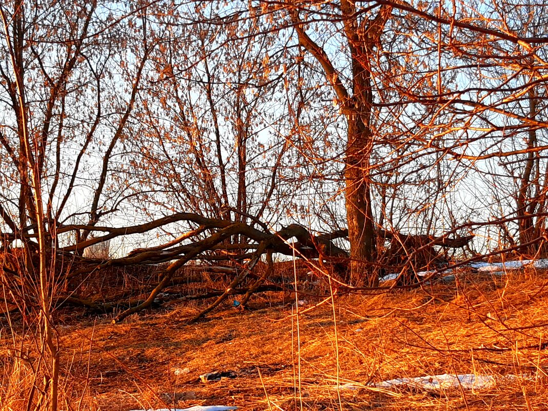 В засаде - Екатерина К.