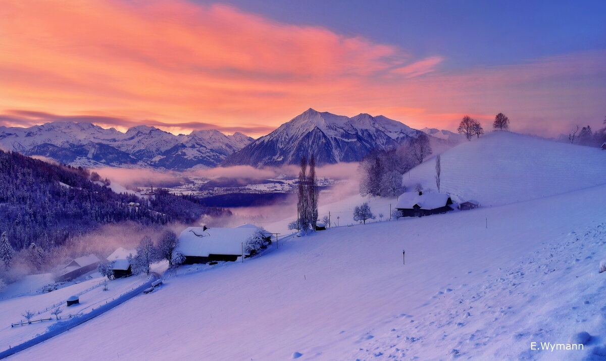 winter sunrise - Elena Wymann